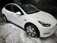 Tesla Model Y 2020 Long Range 75 kWh Dual Motor (351 к.с.) AWD