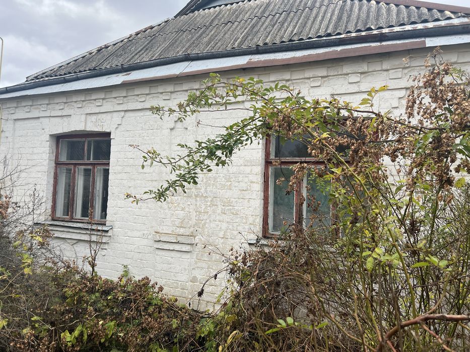 Продається будинок в с. Гудзівка