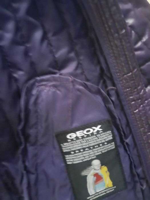 Kurtka geox damska