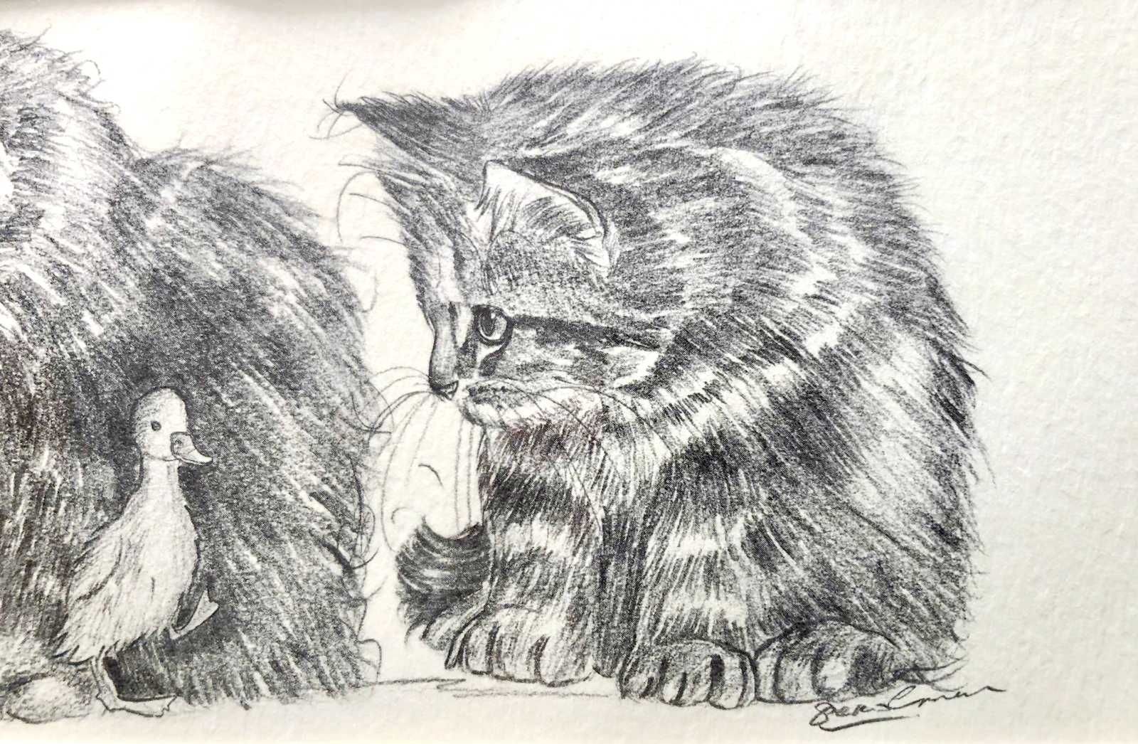 Desenho de Gatos