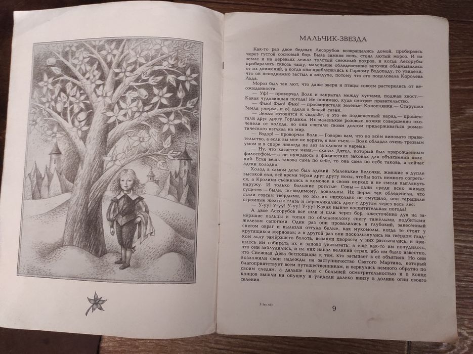 Мальчик звезда Аленький цветочек Волшебная флейта