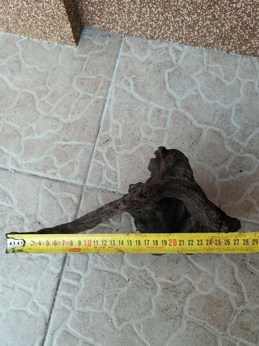 Коряга корч для аквариума дерево Ольхи
