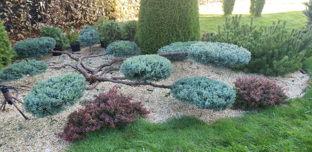 Топіарна стрижка рослин  автоматичний полив стрижка газону