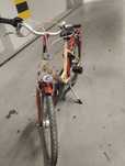 Rower Gazelle Whale