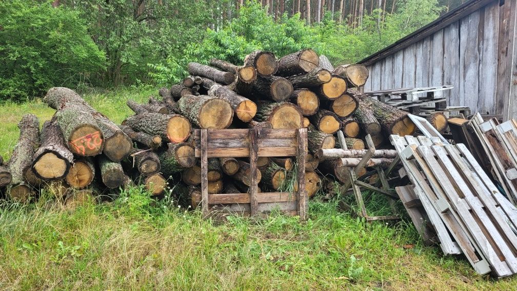 Sprzedam dąb w walkach