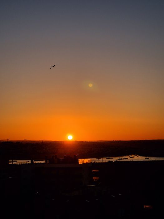 T1 Praia da Rocha vista mar completamente remodelado