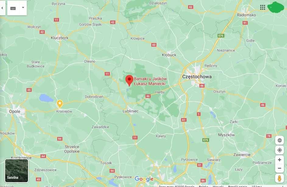 Wężownica nierdzewna Kwasoodporna Viessmann 6.5l do basenu Gwarancja