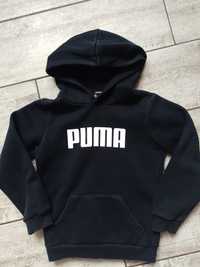 Bluza dla chłopca -4-6lat Puma