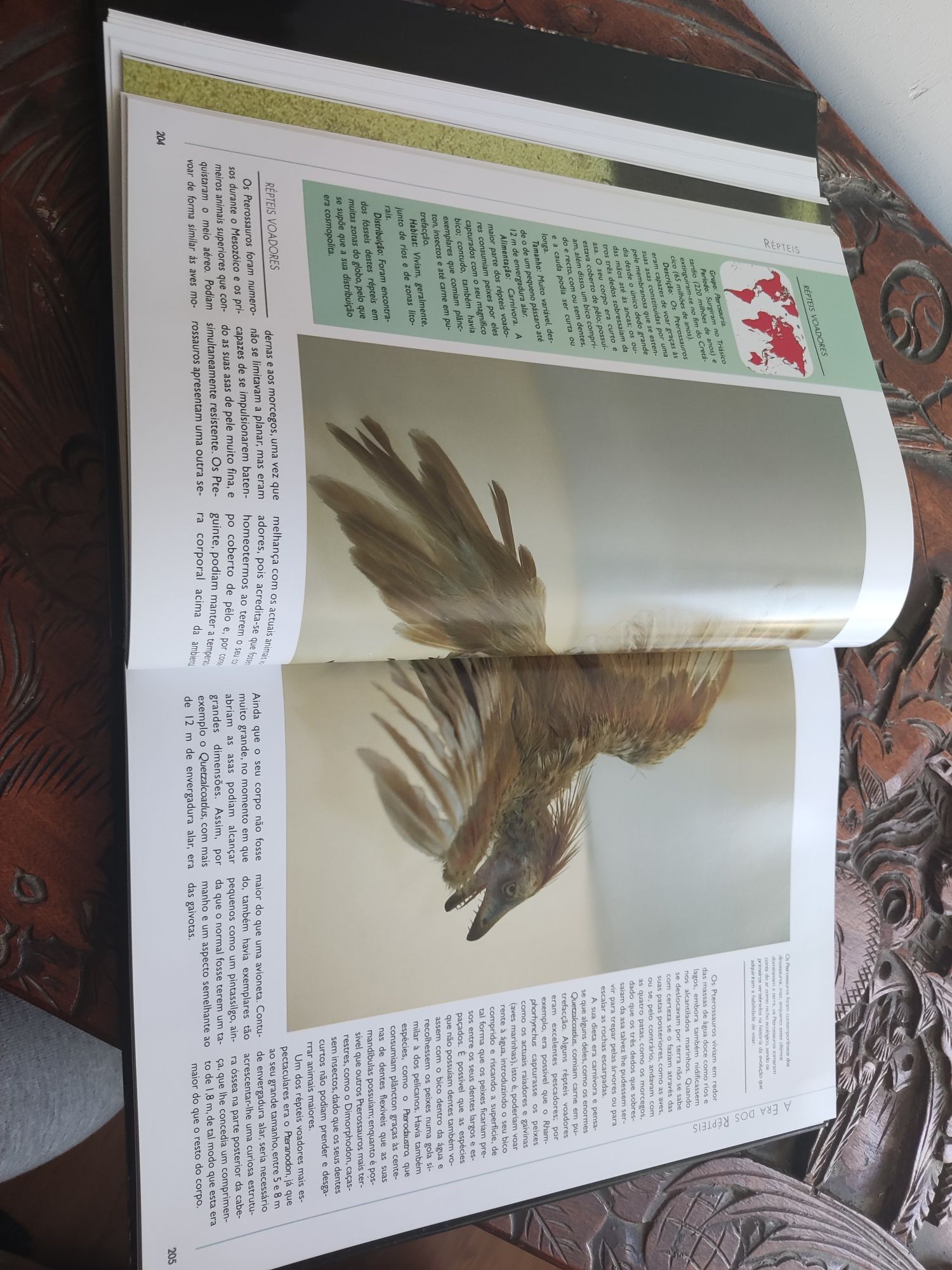 Coleção Terra Viva Completa Livros de Ciencias Naturais e Biologia