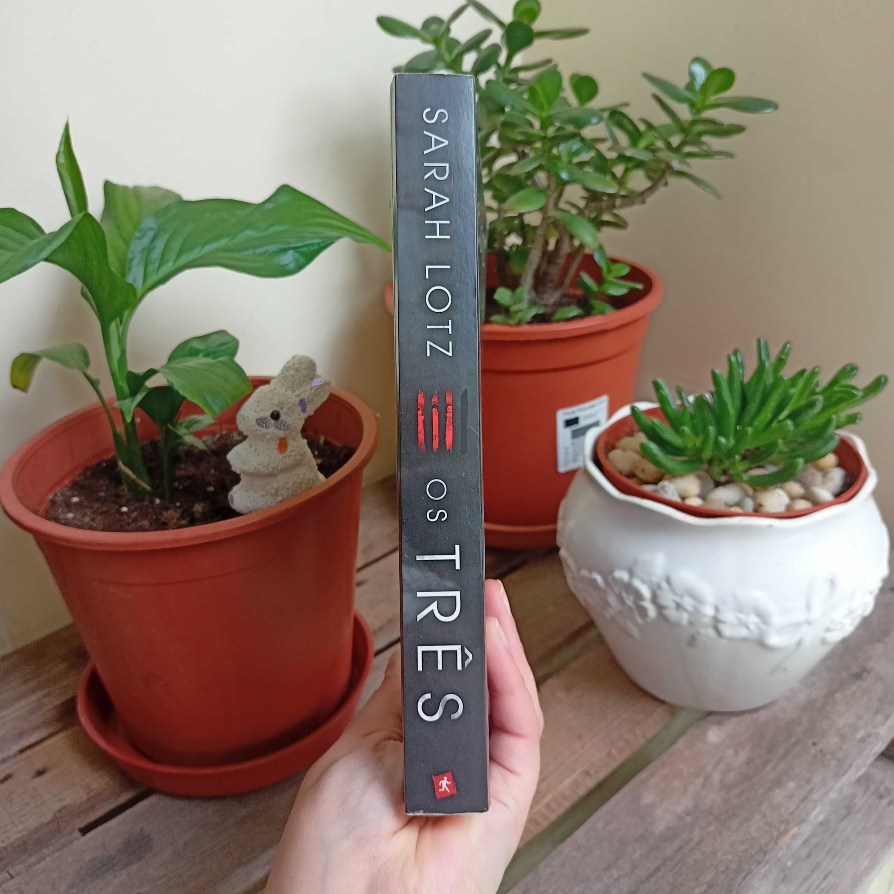 "Os Três", de Sarah Lotz