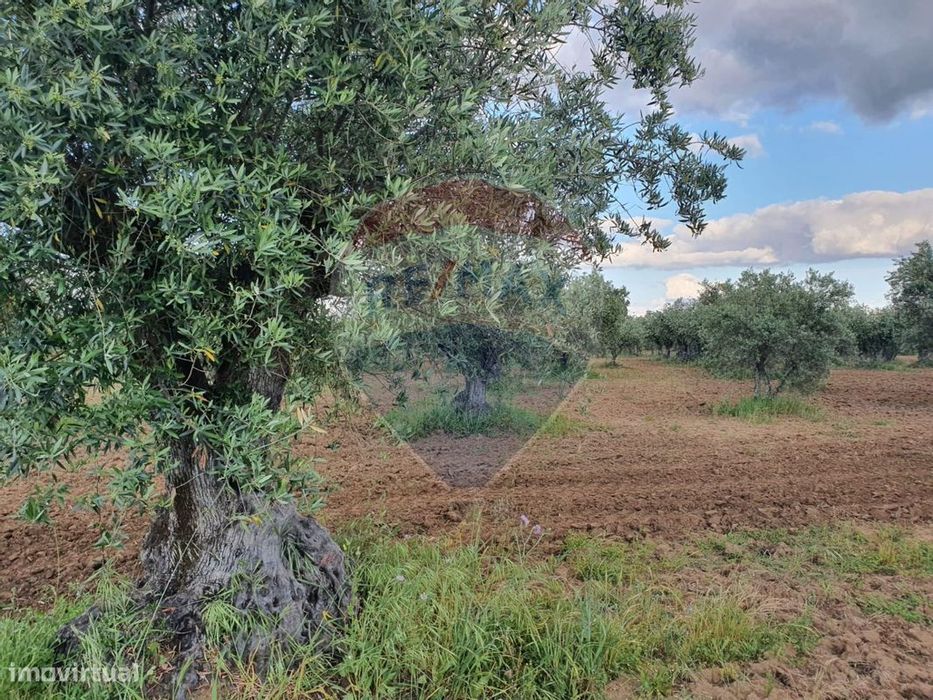 Terreno  para venda