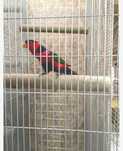 Painel Rede Retangular 73x13MM 2Mx1M