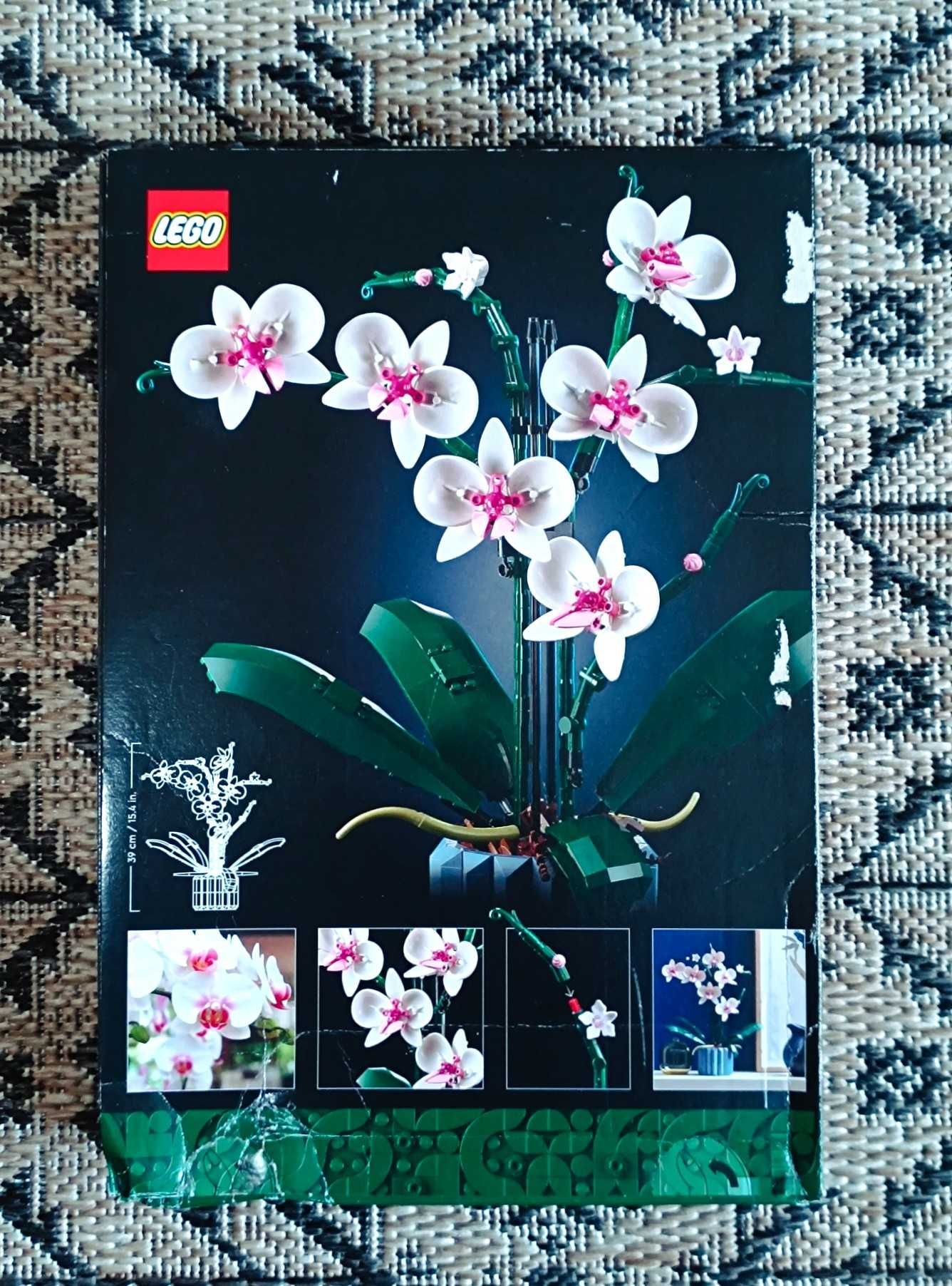 Zestaw klocków LEGO Icons 10311 kwiat Orchidea dla niej