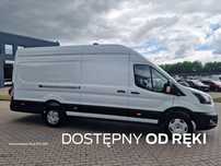 Ford Nowy Transit  VAN TREND L4H3, 2025r. od ręki
