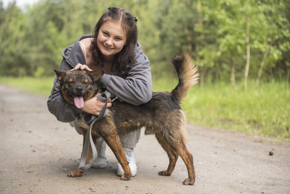 Młodziutki piesek o ślicznym umaszczeniu - Bansi szuka domu