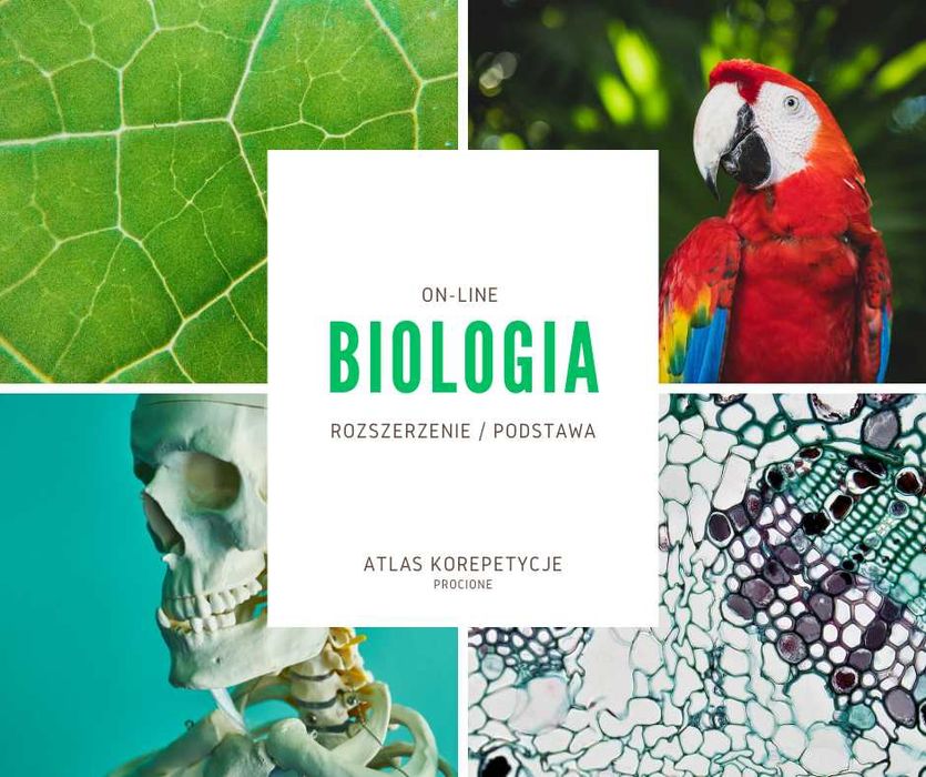 Korepetycje on-line - biologia (rozszerzenie/podstawa)