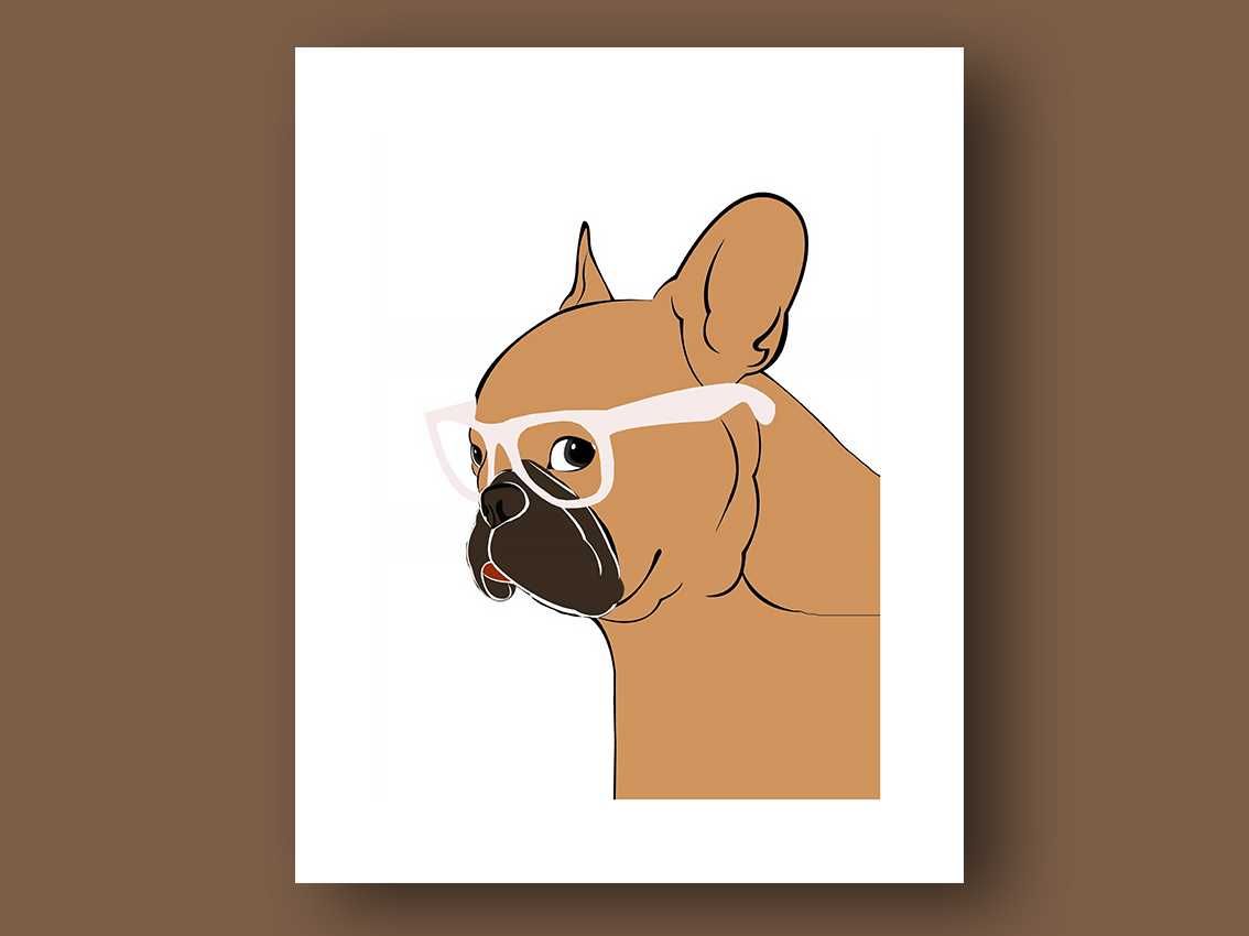 plakat 40x50 buldog francuski