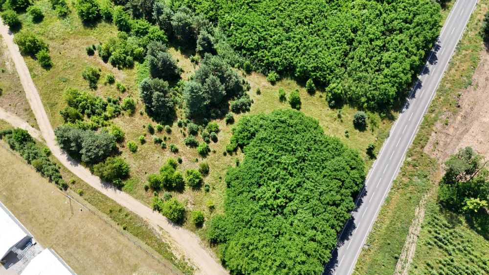 Duża działka inwestycyjna przy DW 338 w Wołowie