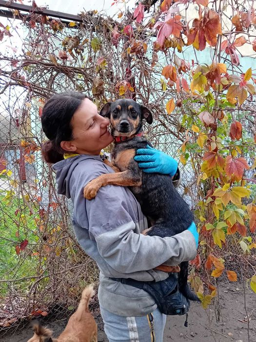 CZIKA - 8kg, maleńka, łagodna  [FILMIKI]