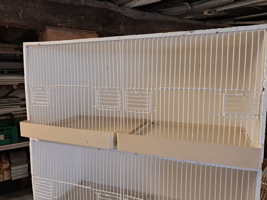 Viveiros aglomerado pintadas