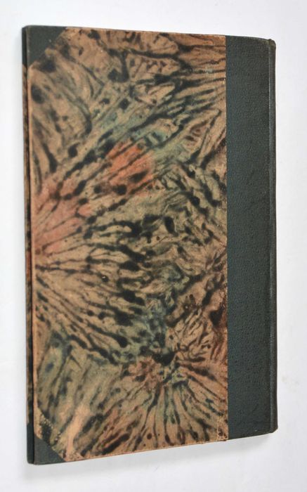 Kościuszko w świetle nowszych badań A.M. Skałkowski (1924)