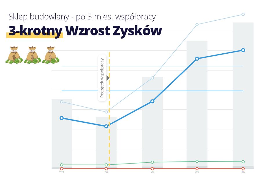 Kampanie Google Ads AdWords - Reklama, Pozycjonowanie - Zyskaj 1200 zł