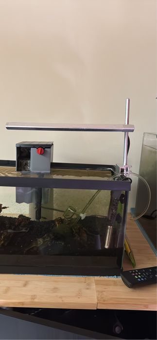 Iluminacao  led aquario