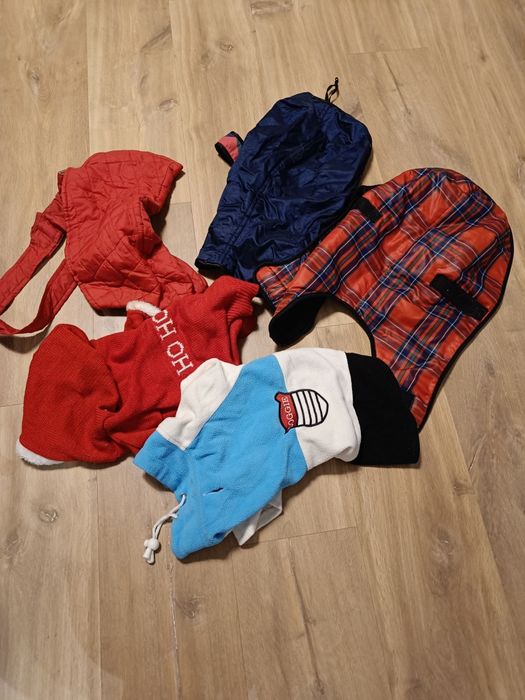 Zestaw ubranek dla małego psa