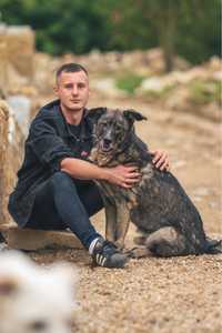 Bono duży pies z jeszcze większym sercem czeka na nowy dom