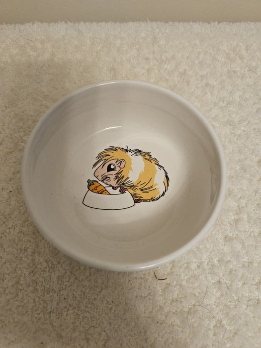 Miska ceramiczna dla gryzoni