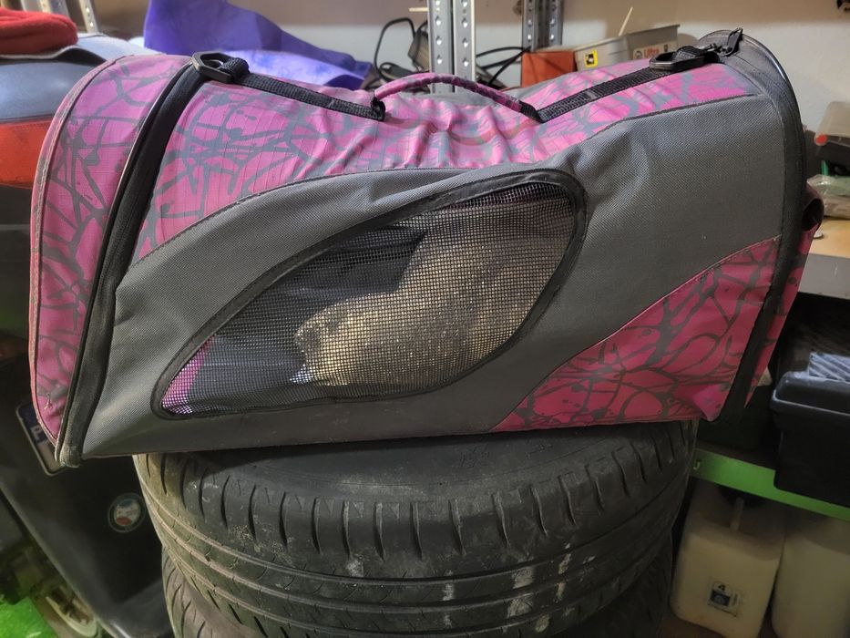 Transporter dla kota