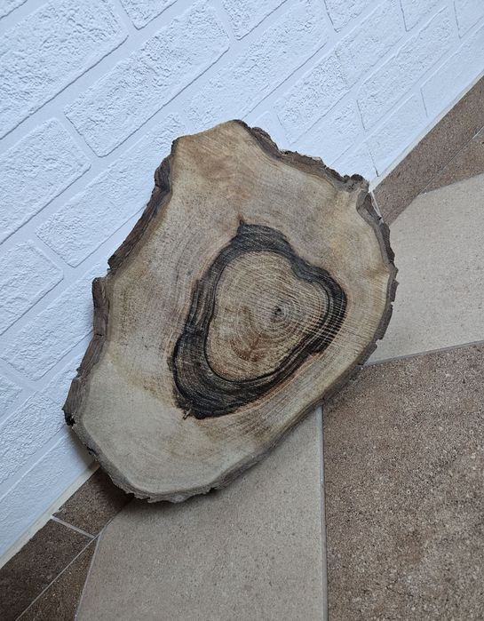 Plaster orzecha włoskiego