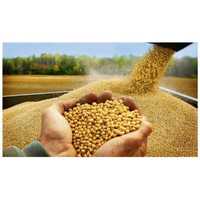 Продається натуральна соя без ГМО на корм