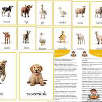 Karty Obrazkowe Zwierzęta na WSI Plansze Edukacyjne Montessori PDF