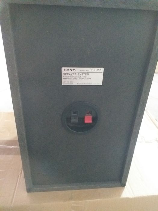 1 coluna Sony 80wts 6hm