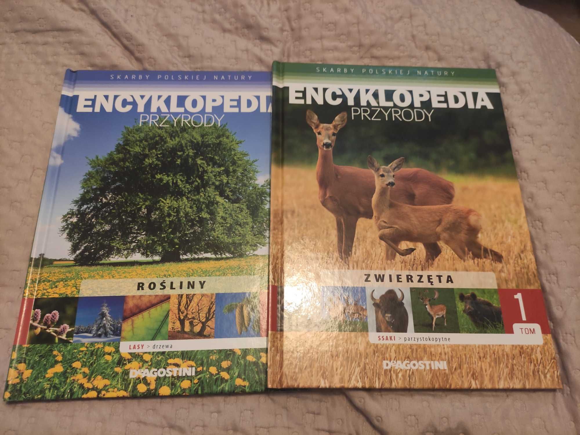 7 różnych encyklopedii dla dzieci
