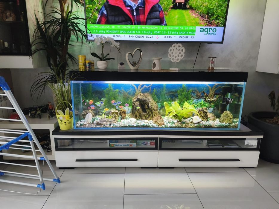 Akwarium 350 L ryby osprzęt cały zestaw