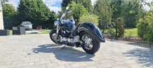 Yamaha XVS Yamaha xvs 1100 dragstar