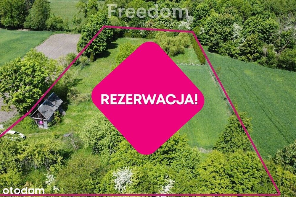 Piękne siedlisko w pod zabudowę lub agroturystykę