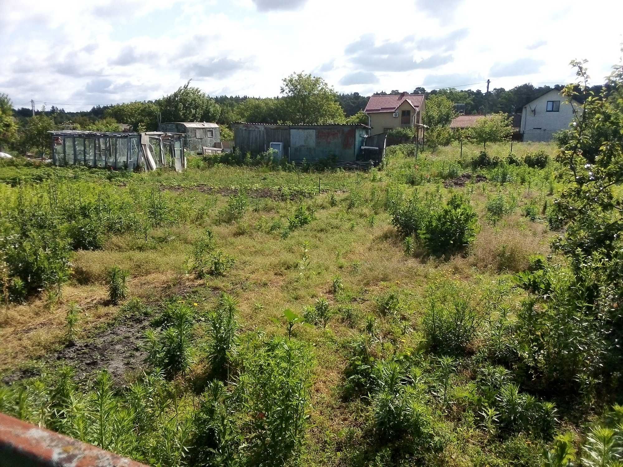 Продам земельну ділянку Нова Українка 9 сот (дачі )