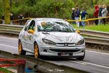 Peugeot 206 Gti Competicao