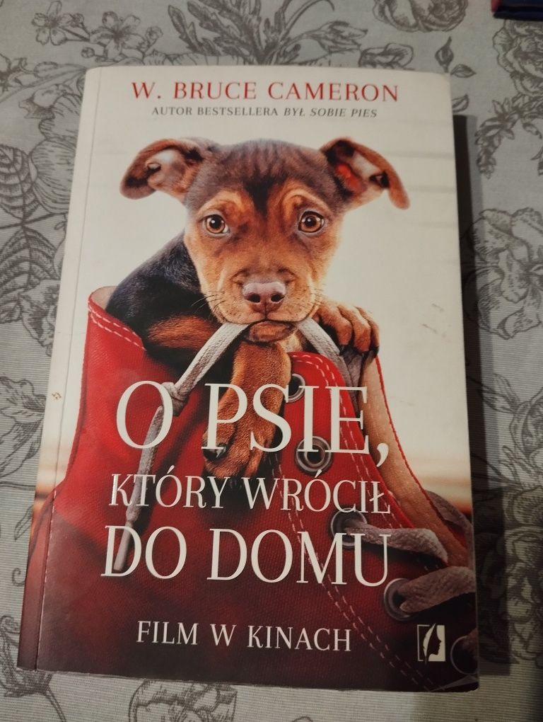 O psie, który wrócił do domu Bruce Cameron