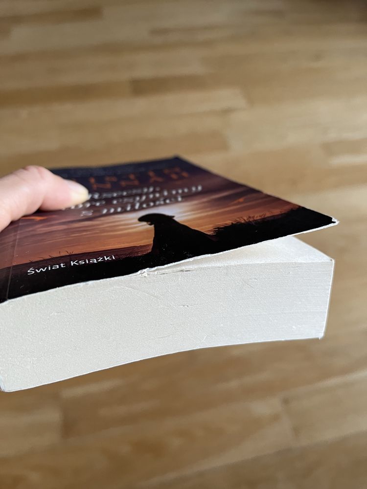 Rzeczy, które czynimy z miłości Kristin Hannah