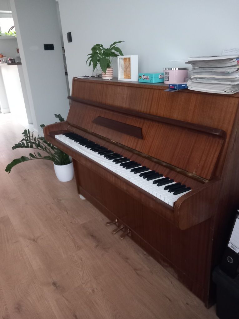 Pianino Calisia M 10521