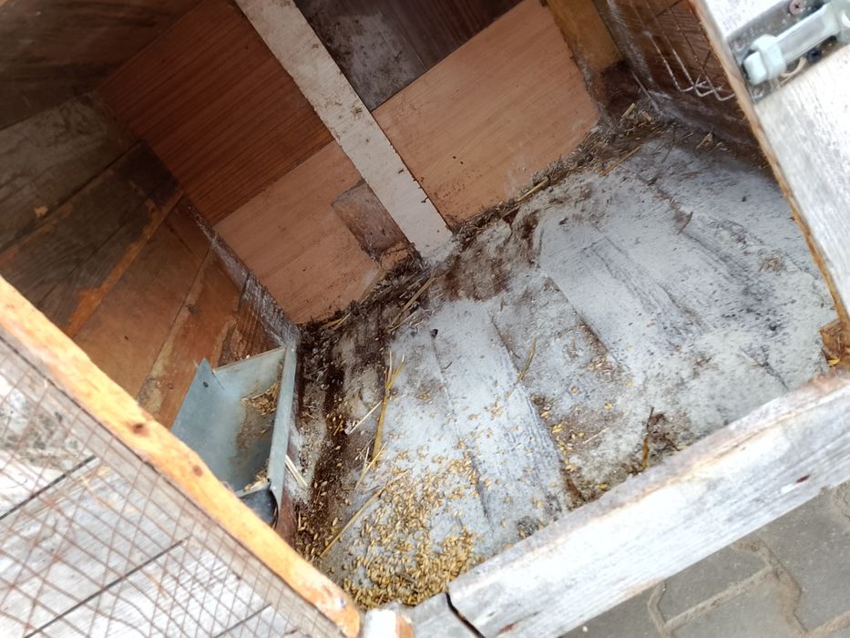 Sprzedam klatkę dla królików 4 komorową