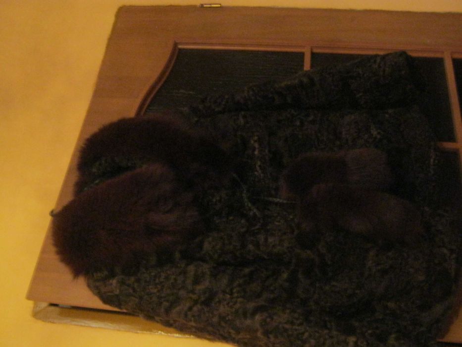 Urocze futerko  z karakułów z kołnierzem z lisa