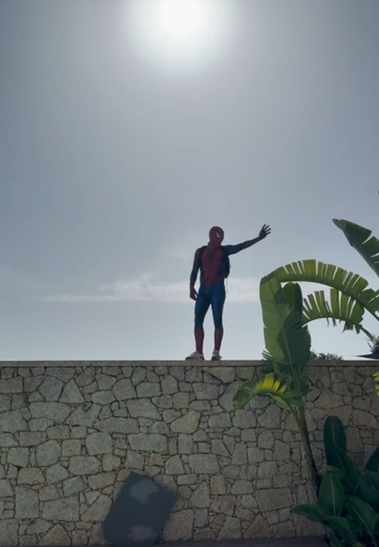 Homem-Aranha em tua casa