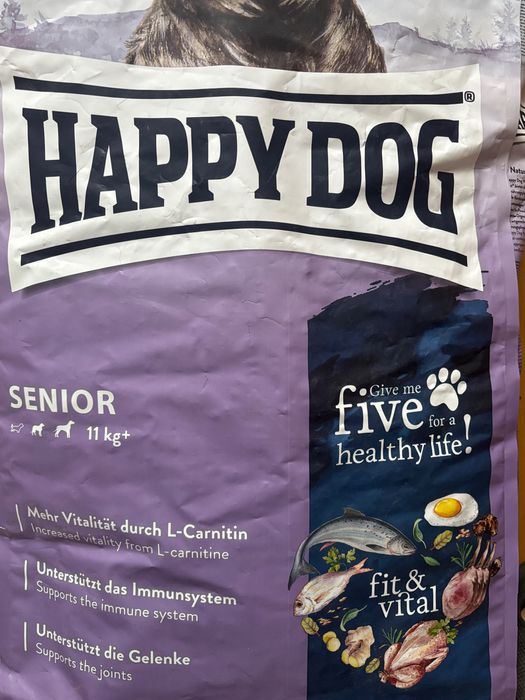 Happy dog karma senior