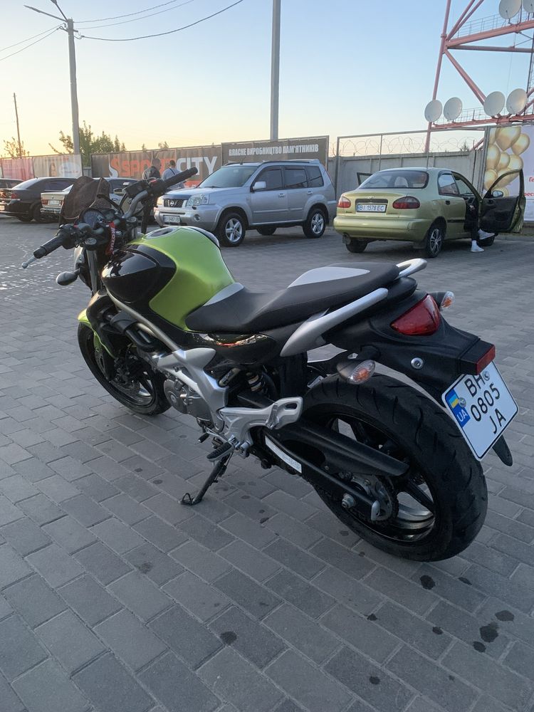 Suzuki gladius 650,sfv,Сузуки гладіус 650