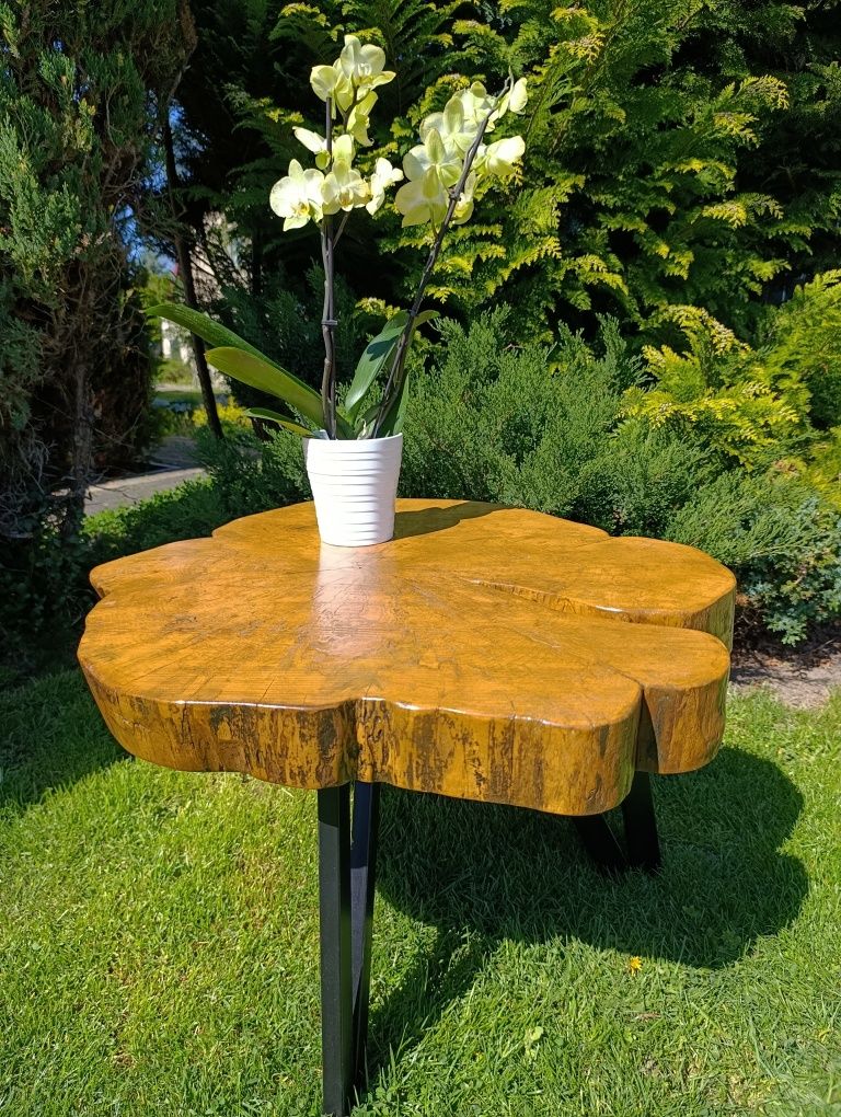 Stolik kawowy z plastra drewna loft